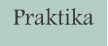 Praktika